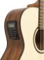 Preview: Crafter HT100-CE-N