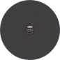 Preview: CHERUB - ECH DP-970  12-Zoll-Übungs Pad