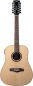 Preview: EKO - GEA NXT-D100CWE-NAT12 Dreadnought XII - NXT D100e XII, 12-Saitige Dreadnought, Fichte natur