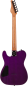 Preview: SCHECTER E-Gitarre, PT Standard, Purple Burst Burl