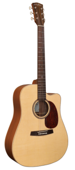 Anchor Guitars Eagle Europe CW AE