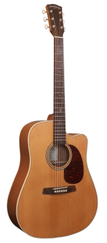 Anchor Guitars Eagle Europe SW CW AE
