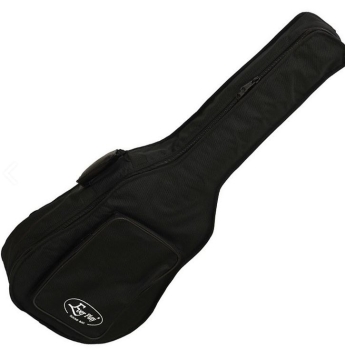 Ever Play 810W, Westernguitar, Gigbag, 10mm