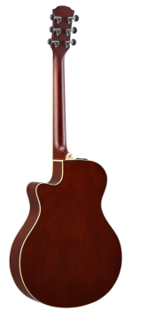 Preview: Yamaha APX600M