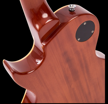 FRET KING - Eclat Paul Rose Signature Custom - Gold Top