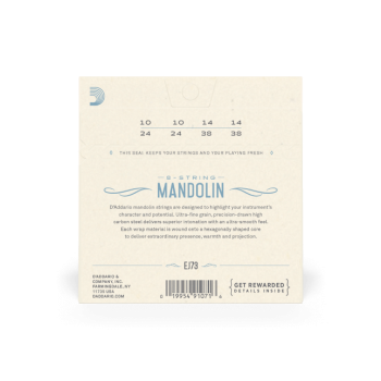 EJ73 Mandolin Strings, Phosphor Bronze, Light, 10-38