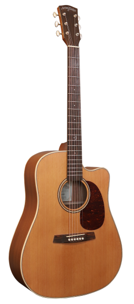 Anchor Guitars Eagle Europe SW CW AE