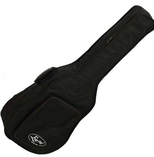 Ever Play 810W, Westernguitar, Gigbag, 10mm