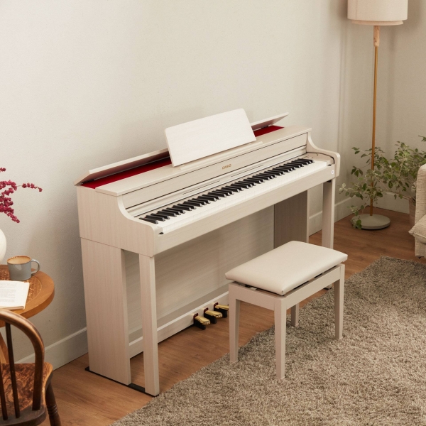 CASIO -  CELVIANO - AP-300GB