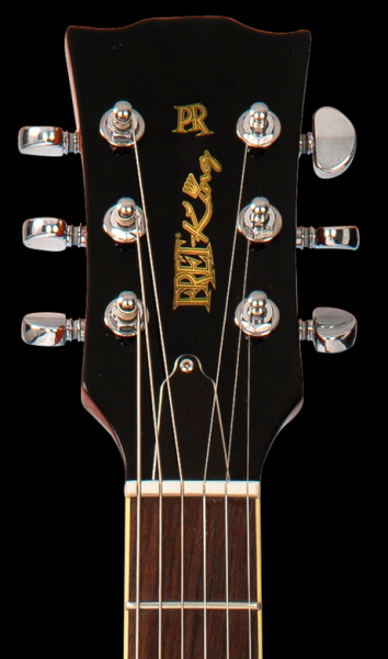FRET KING - Eclat Paul Rose Signature Custom - Gold Top
