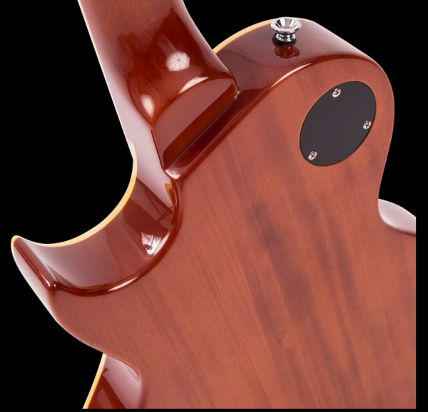 FRET KING - Eclat Paul Rose Signature Custom - Gold Top